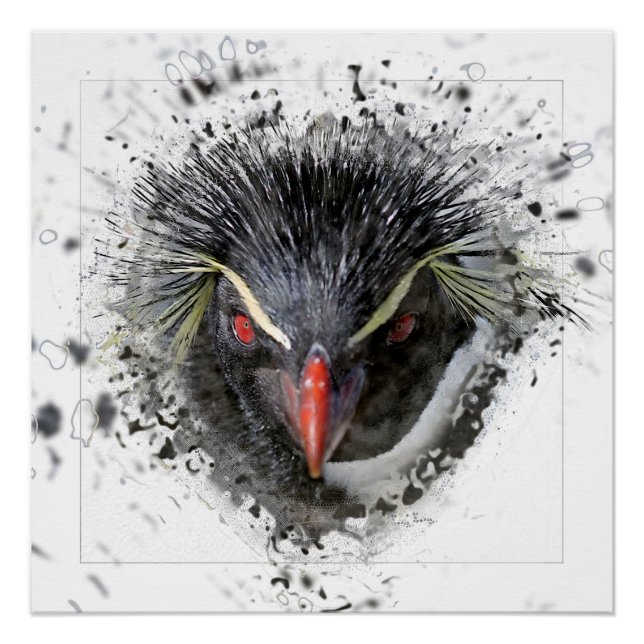 Póster Pinguim (Frente)