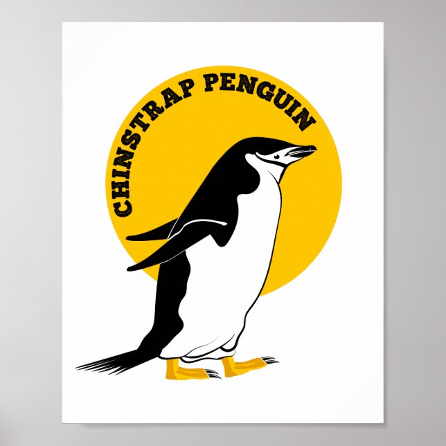Poster Pinguim-chinês (Frente)