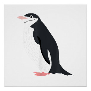 Póster Pinguim-de-barbicha Fofo Amor por Animal Antártico