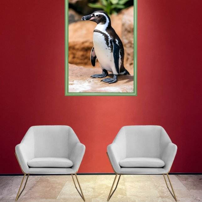Poster Pinguim Galápagos (Criador carregado)