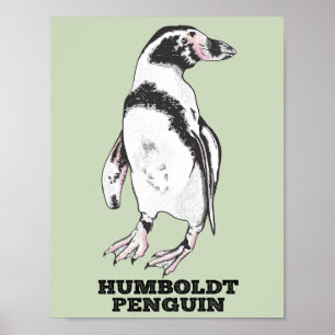 Poster Pinguim Humboldt