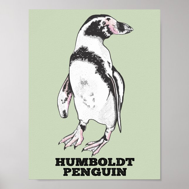Poster Pinguim Humboldt (Frente)