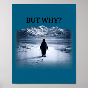Poster Pinguim mas por que rumo às montanhas pinguim