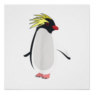 Póster Pinguim Rockhopper Fofo Animal Antártico Engraçado