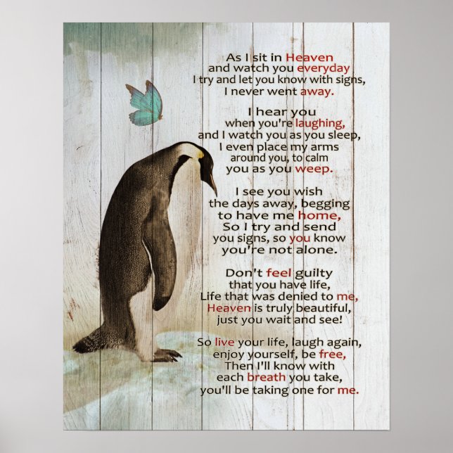 Poster Pinguim Sentado Em Presentes Do Memorial Do Céu (Frente)