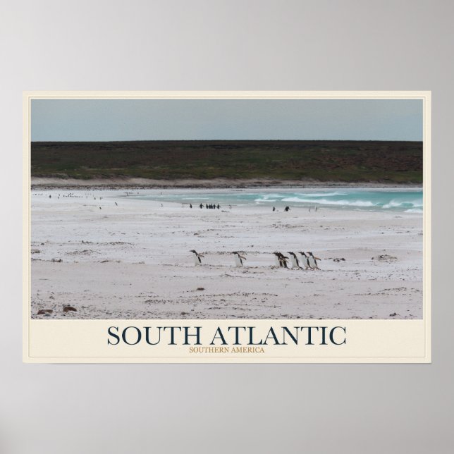 Poster Pinguins ao Longo de uma Costa Sul (Frente)