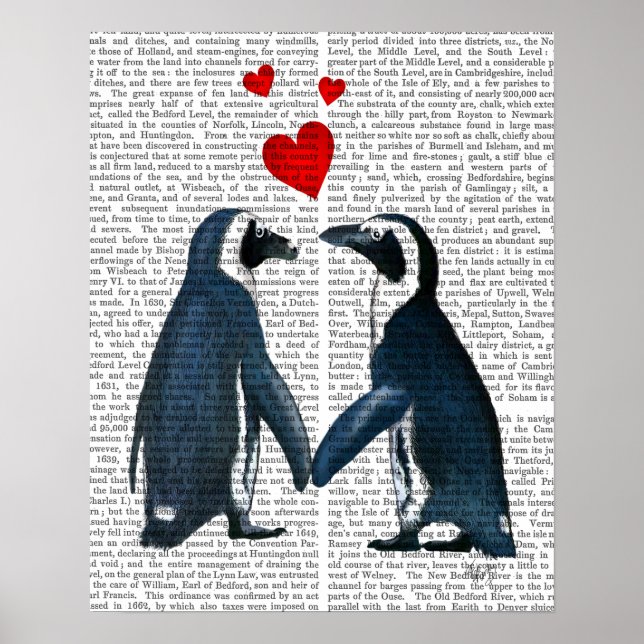 Póster Pinguins Com Corações De Amor (Frente)