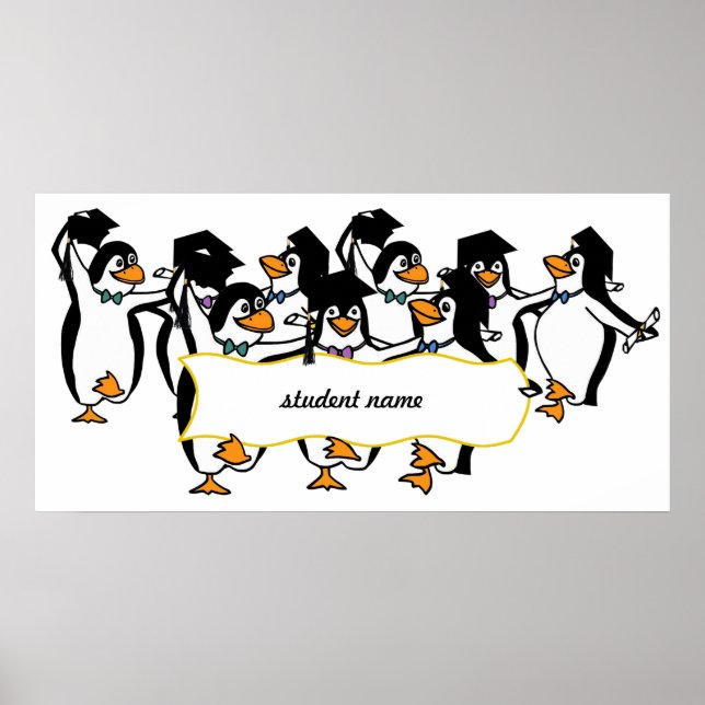 Póster Pinguins de Graduação com faixa (Frente)