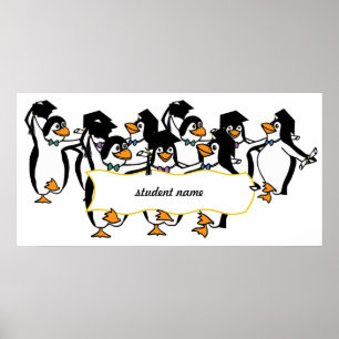 Póster Pinguins graduados com faixa