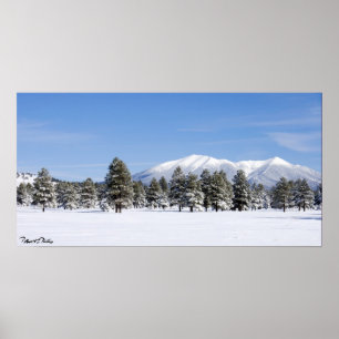 Póster Pinheiros cobertas por neve e Arizona de picos de