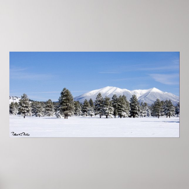 Póster Pinheiros cobertas por neve e Arizona de picos de  (Frente)