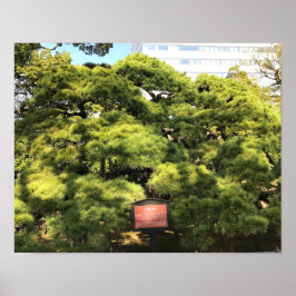 Poster Pinheiros com 300 anos