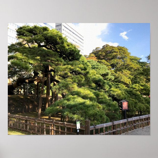 Poster Pinheiros com 300 anos (Frente)