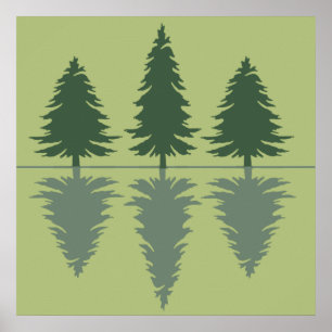 Poster pinheiros de uma floresta
