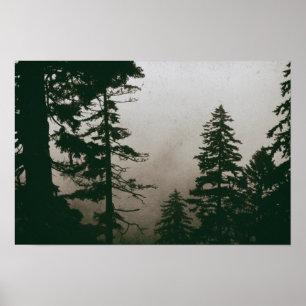 Poster Pinhos da natureza do vintage do pinheiro da