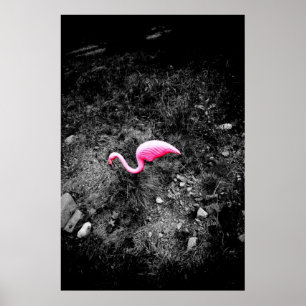 Poster pink flamingo