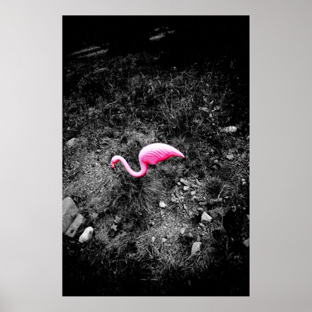 Poster pink flamingo (Frente)