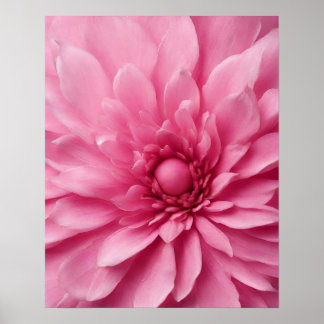 POSTER PINK FLOWART