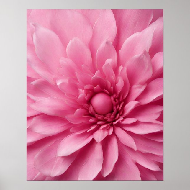POSTER PINK FLOWART (Frente)