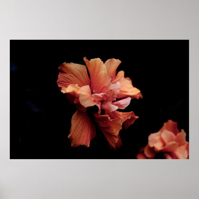 POSTER PINK FLOWER NO FUNDO PRETO (Frente)