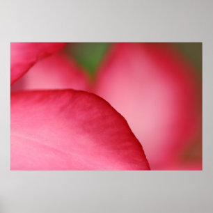 Póster Pink Leaf