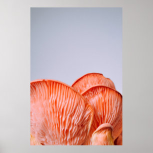 POSTER PINK MUSHROOMS