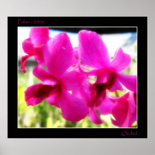Póster Pink Orchid
