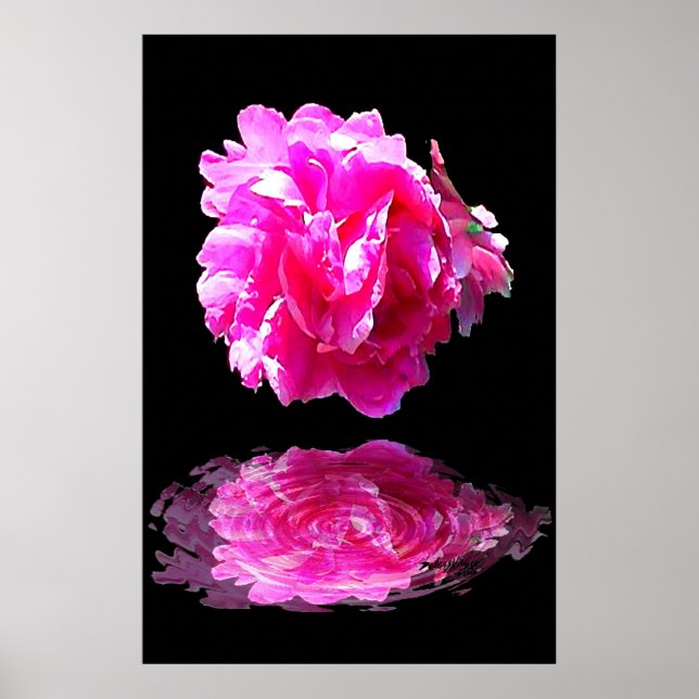 Póster Pink Peony (Frente)