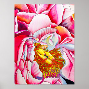 Poster Pink Peony Watercolor belas artes