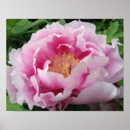 Póster Pink Peony Watercolor Fine Floral