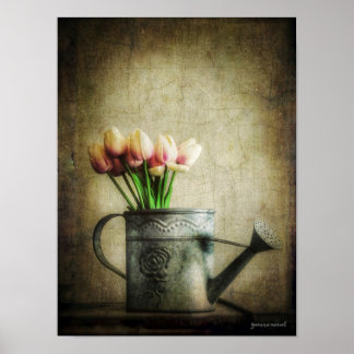 Poster Pink Tulips in Watering Can