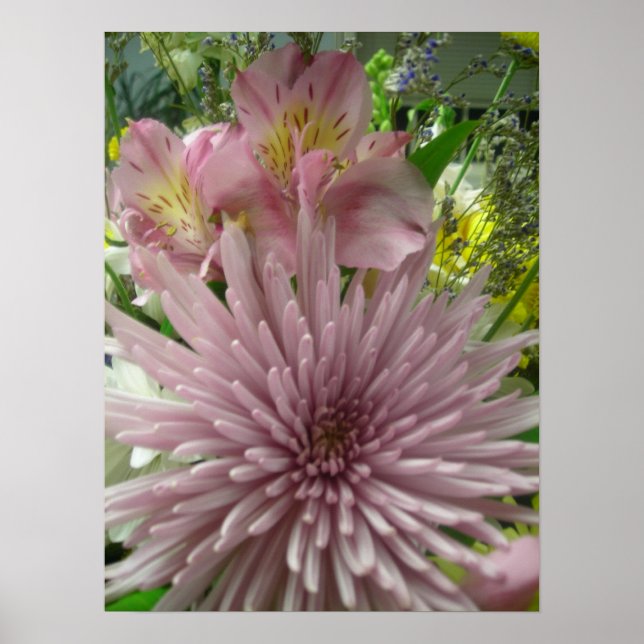 Póster Pinkly Pastel (Frente)