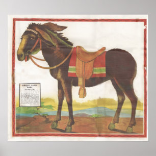 Poster Pino A Cauda No Macaco