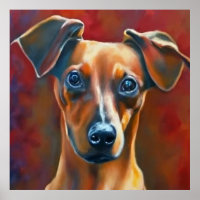Pinscher Austríaco - Retrato Canino
