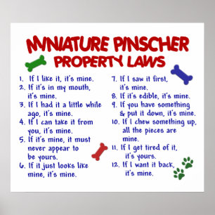 PÓSTER PINSCHER DIMINUTO PL2