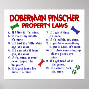 POSTER PINSCHER PL2 DO DOBERMAN