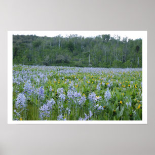 Poster Pintando o campo