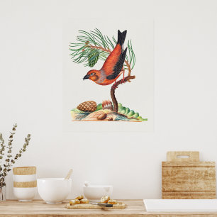 Poster Pintassilgo-vermelho