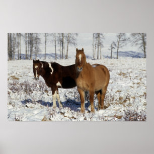 Póster Pinte cavalos na neve