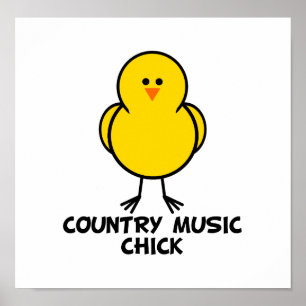 Poster Pintinho da música country