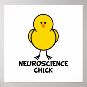 Poster Pintinho da neurociência