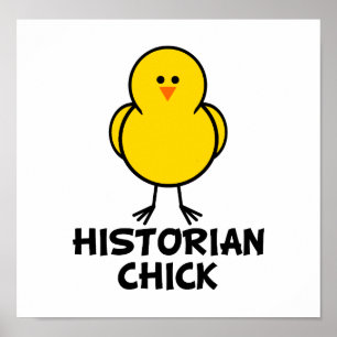 Poster Pintinho do historiador
