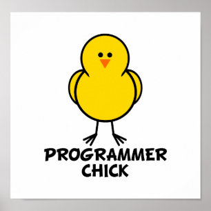 Poster Pintinho do programador