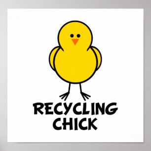 Poster Pintinho do reciclagem