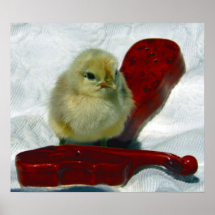 Poster Pintinho Musical