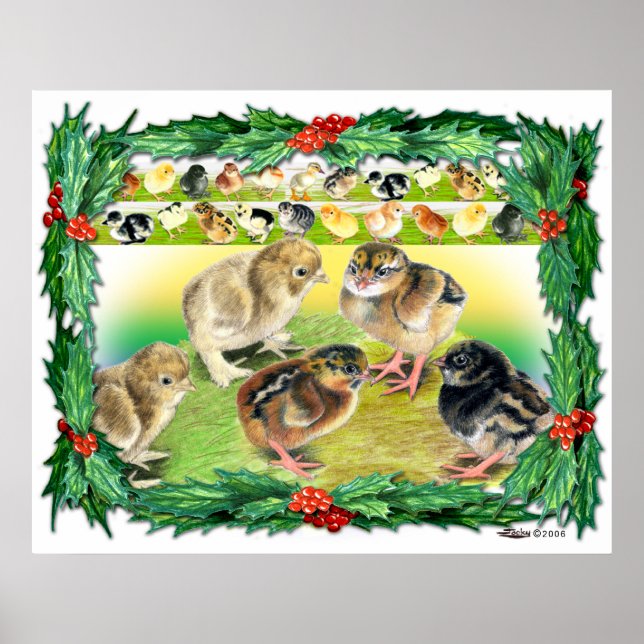 Póster Pintinhos de Natal (Frente)