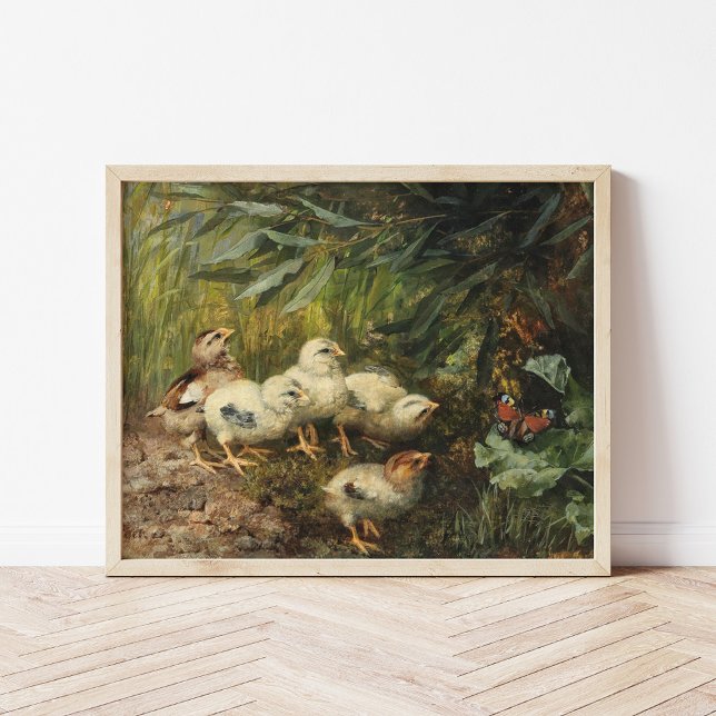 Poster Pintinhos e borboleta | Franz Xaver Birkinger (Criador carregado)