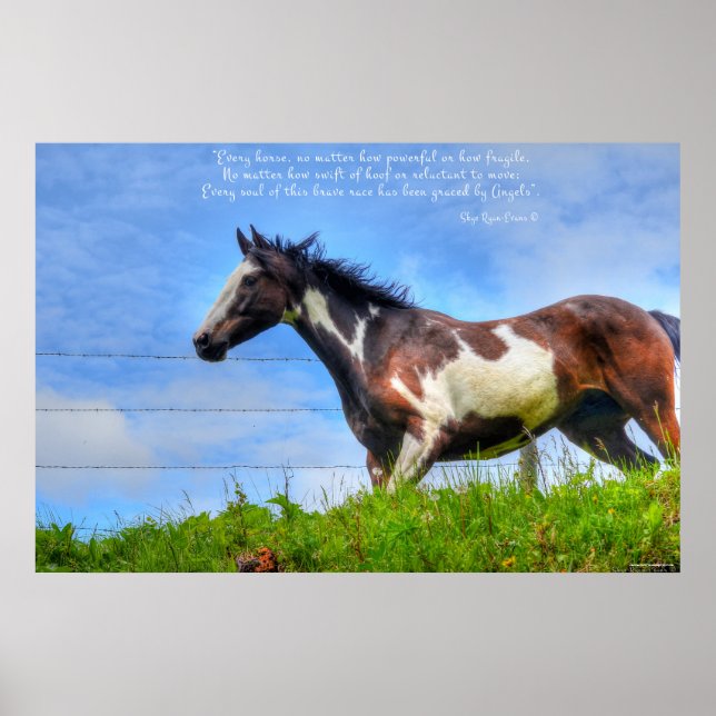 Póster Pinto Paint & Clouds Ranch Horse w Poem Photo (Frente)