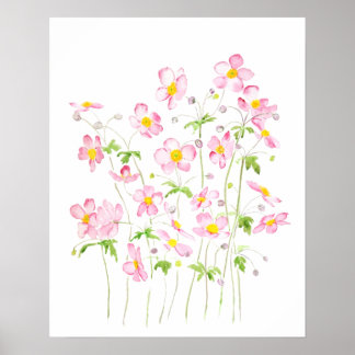 Poster Pintor aquarela rosa japonesa Anemone