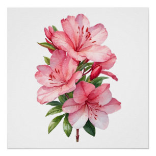 Póster Pintor de aquarela de flor Azalea